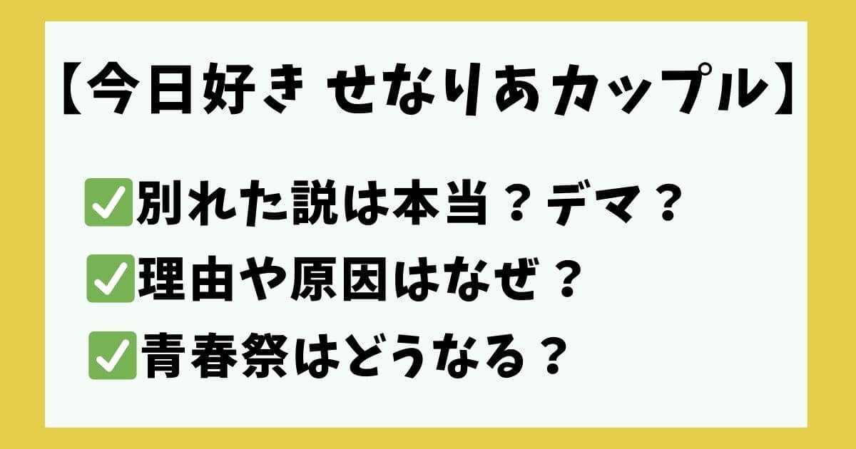 せなりあカップル 別れた